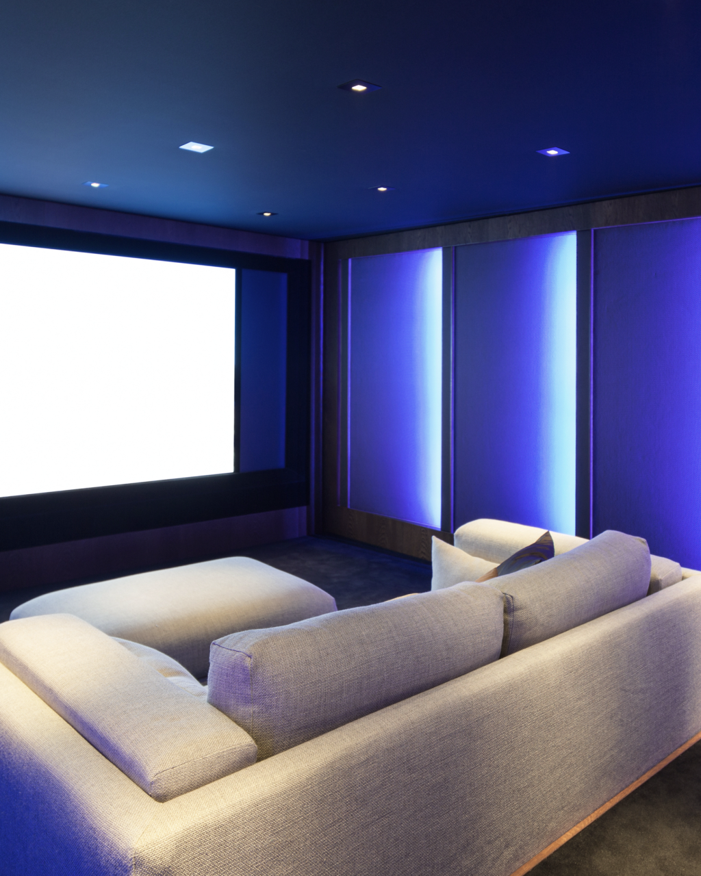 Mavien Home Automation_Home Theater Solutions